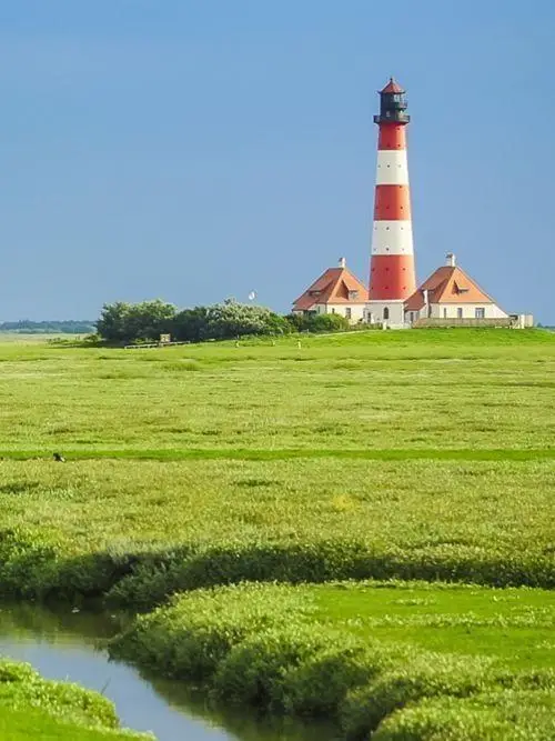 Suchmaschinenoptimierung und Local SEO Schleswig-Holstein